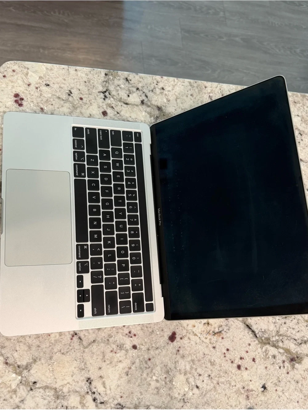 Pink 13 inch Apple MacBook Pro 256G